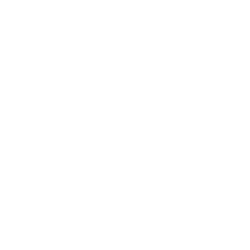 privacy icon